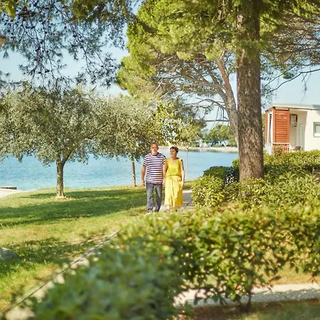 Adria - & Adria Ankaran